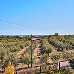 Nyaraló Oliva Al Moncarapacho