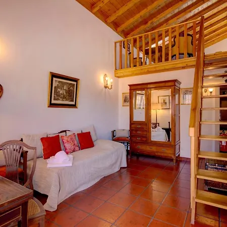 Oliva Al * 몬카라파초