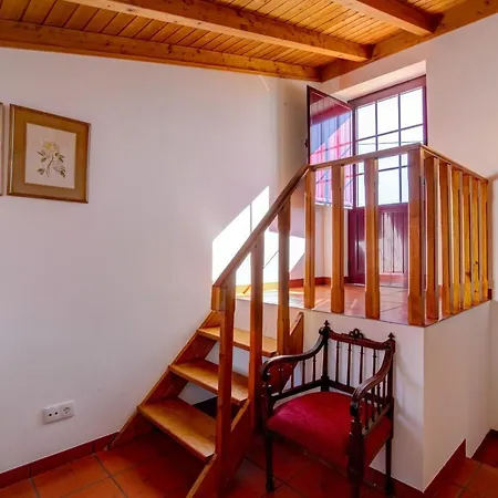 Oliva Al * 몬카라파초