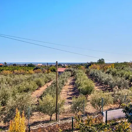 펜션 Oliva Al 몬카라파초