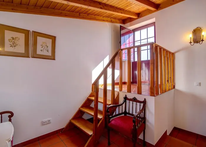 Oliva Al * Moncarapacho