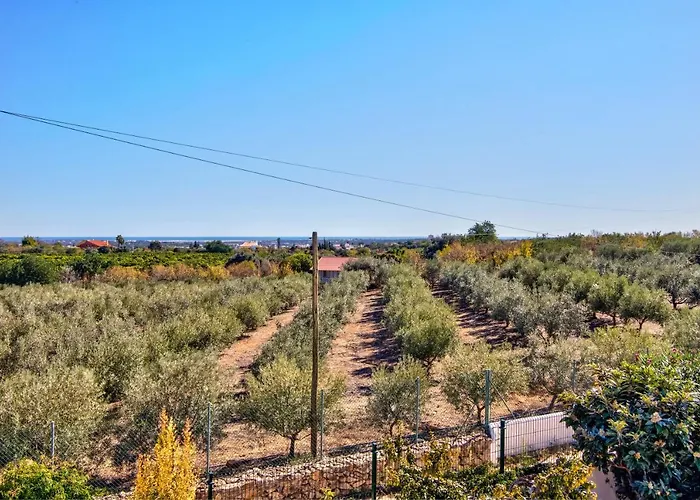 Ferienhaus Oliva Al Moncarapacho